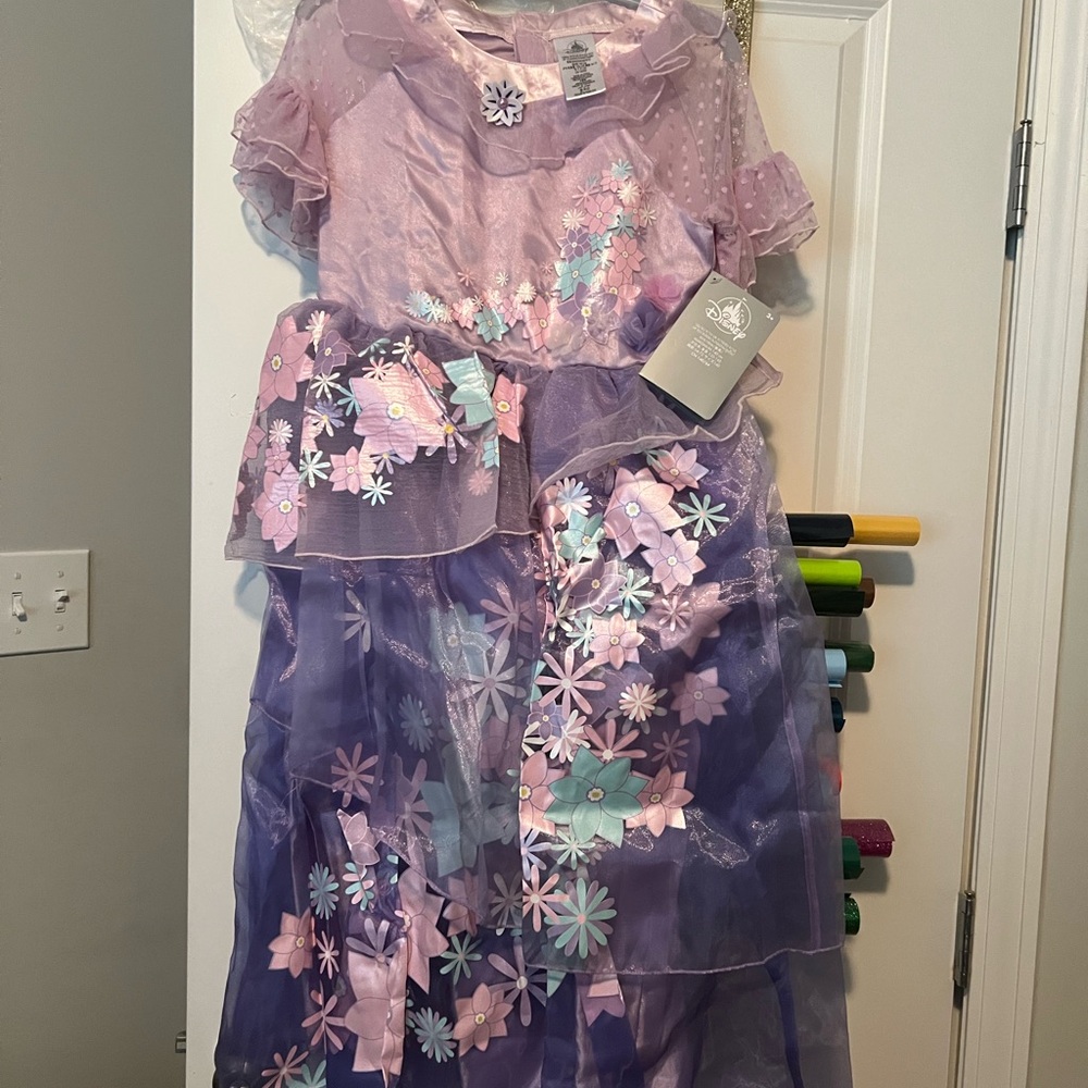 Disney Pink and Lavender Dress Encanto Isabela